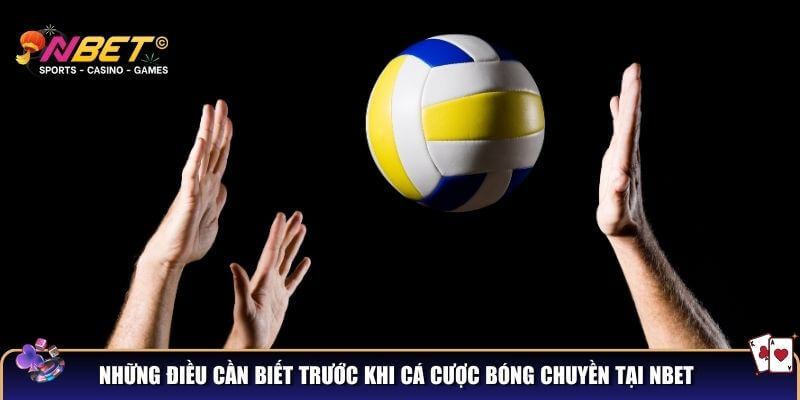 Khám phá bóng chuyền – Luật chơi, kỹ thuật và sự hấp dẫn 2 Những điều cần biết trước khi cá cược bóng chuyền tại NBET