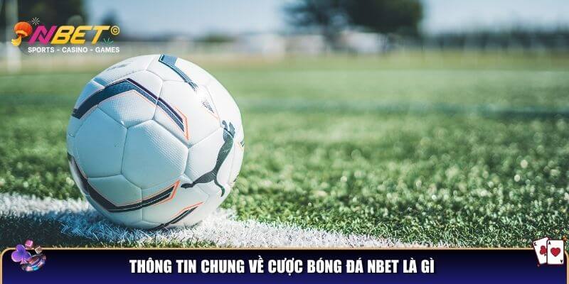 Thông tin chung về cược bóng đá NBET 