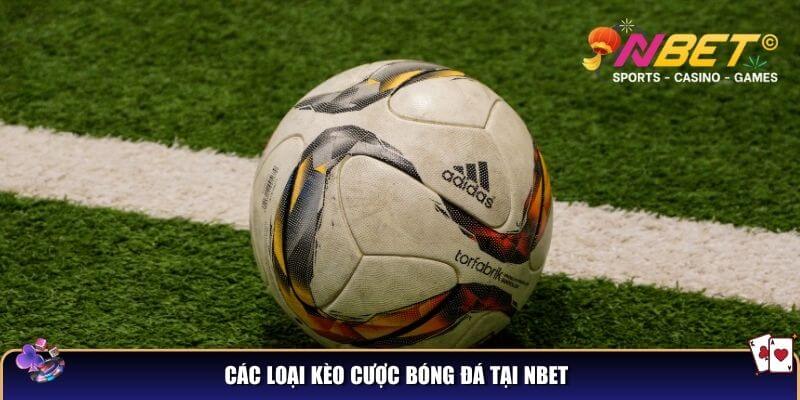 Các loại kèo cược bóng đá tại NBET