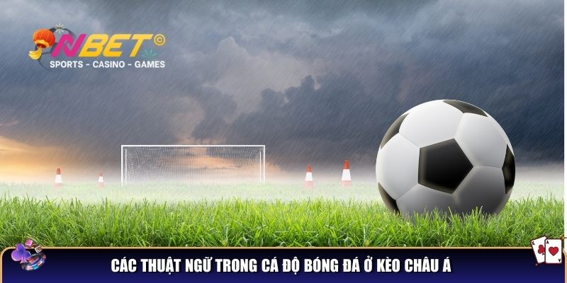Các thuật ngữ trong cá độ bóng đá – Chìa khóa thành công cho bạn 2 Các thuật ngữ trong cá độ bóng đá ở kèo Châu Á