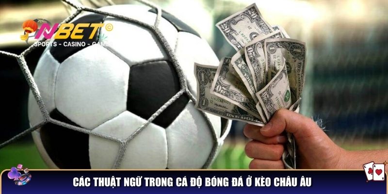 Các thuật ngữ trong cá độ bóng đá – Chìa khóa thành công cho bạn 3 Các thuật ngữ trong cá độ bóng đá ở kèo Châu Âu