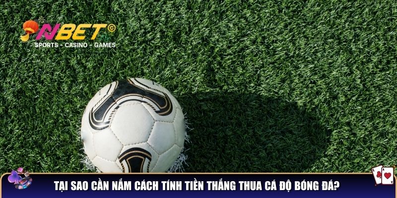 Cách tính tiền thắng thua cá độ bóng đá - Hướng dẫn chi tiết cho người mới 2 Tại sao cần nắm cách tính tiền thắng thua cá độ bóng đá?