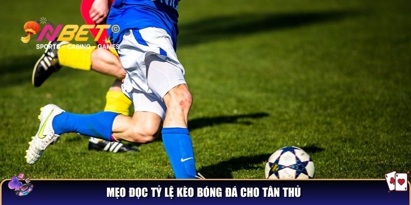Đọc tỷ lệ kèo bóng đá – Cẩm nang giải mã kèo chuẩn xác 4 Mẹo đọc tỷ lệ kèo bóng đá cho tân thủ