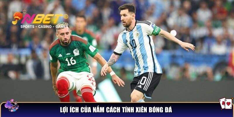 Lợi ích của nắm cách tính xiên bóng đá