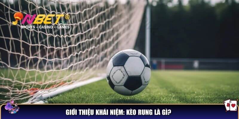 Kèo rung là gì? Cách hiểu và bắt kèo rung chuẩn như dân chuyên 2 Giới thiệu khái niệm: Kèo rung là gì?